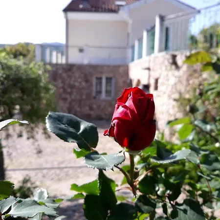 M&m Bed and Breakfast Finale Ligure