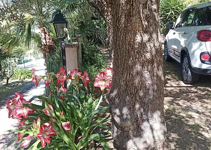 Bed & Breakfast M&m *