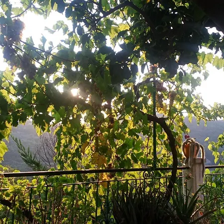 M&m * Финале Лигуре