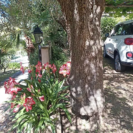 Frühstückspension M&m *