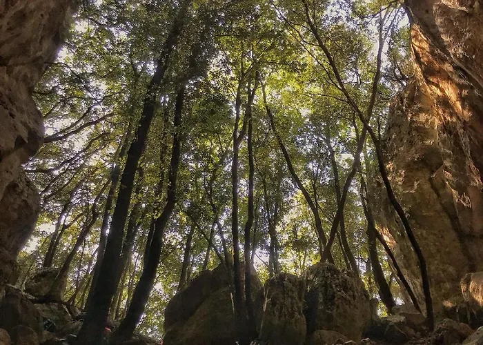 M&m Финале Лигуре