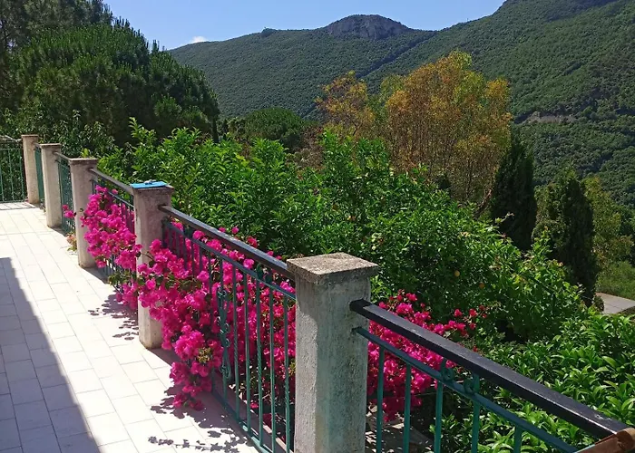 M&m Финале Лигуре