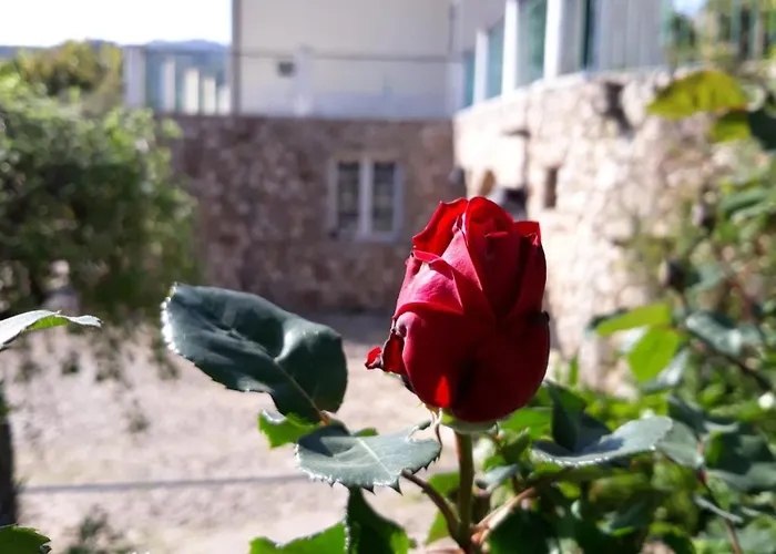 M&m Bed and breakfast Finale Ligure