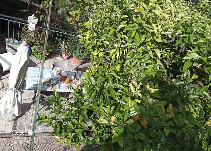 M&m Отель типа 