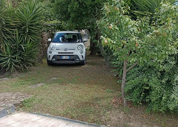 M&m Отель типа 